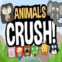 animals crush match